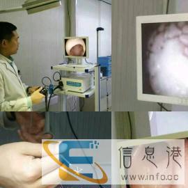 绥化宠物医院,爱宠 绥化较大规模