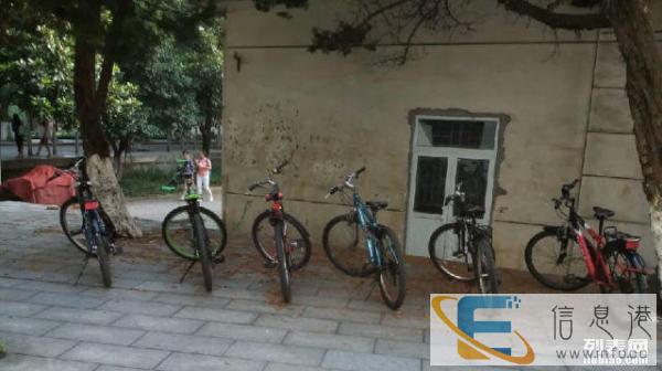 师大老区学生租车 山地车每月仅需30元