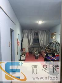 家庭式猫狗宠物寄养