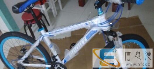 威风牌山地自行车