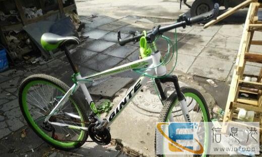 上海凤凰山地自行车