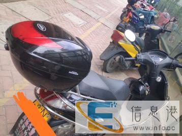 本田踏板，价合适出