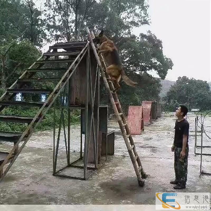海南永胜工作犬训练基地