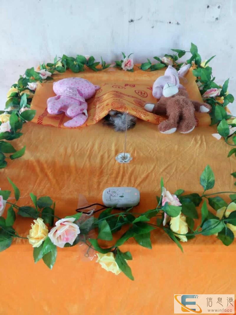 动物火化的地方 深圳宠物火化