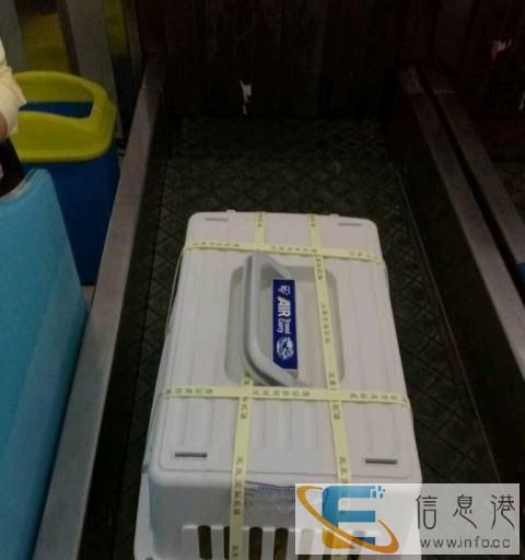 三亚凤凰机场宠物托运
