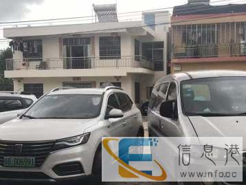 三亚宠物出行专家代办检疫寄养