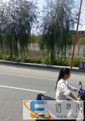 骑俩月电动车急卖