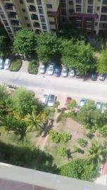 家庭式宠物寄养