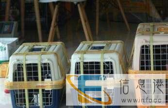 全国宠物托运选长旺宠物托运