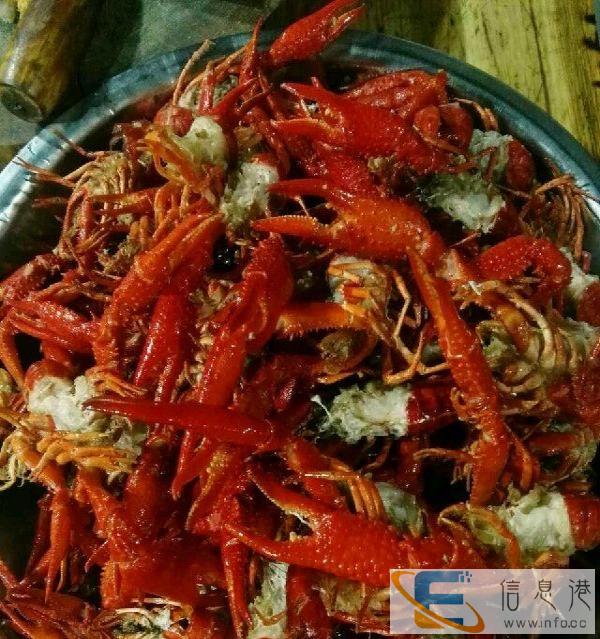 阳阳口味虾满5斤送1斤哦