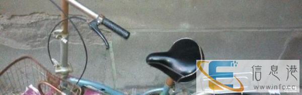 赛克折叠自行车100可小刀