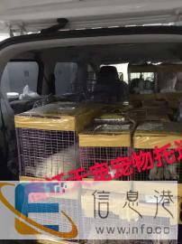 宿迁天宠宠物托运