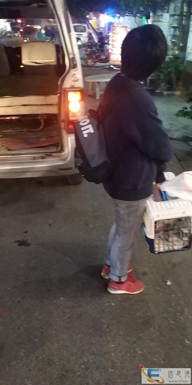 全国宠物托运24小时接送