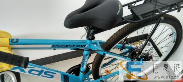 99新喜德盛山地车转让