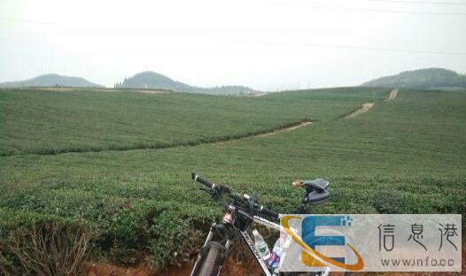 2016款美利达挑战者300