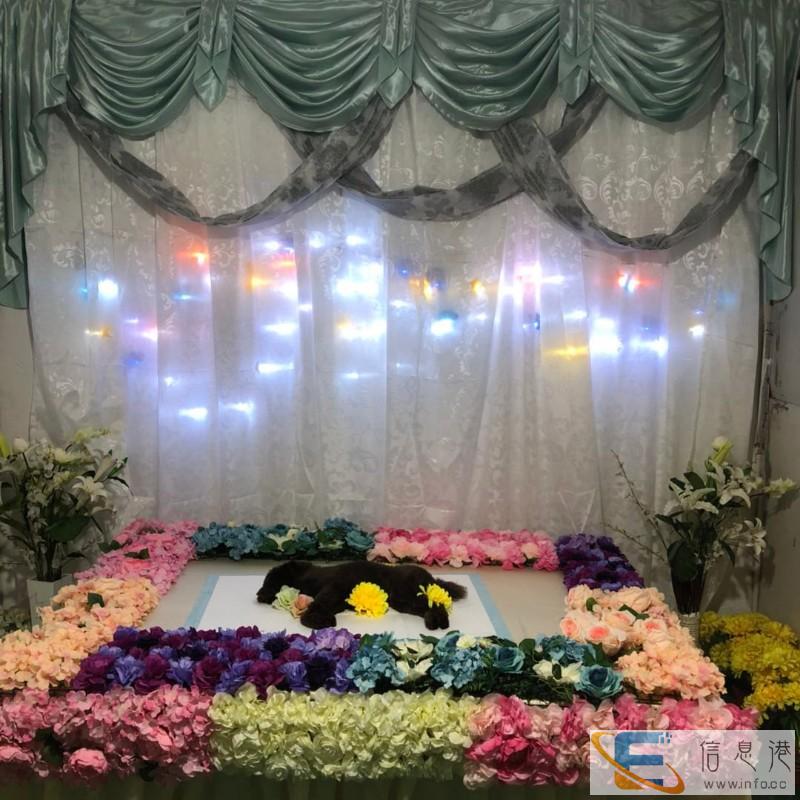 宠物火化炉 宠物殡葬哪个好 宠物火化炉 宠物殡葬哪个好