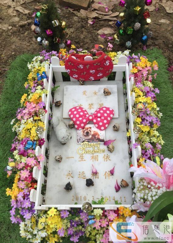 宠物火化炉 宠物殡葬哪个好 宠物火化炉 宠物殡葬哪个好