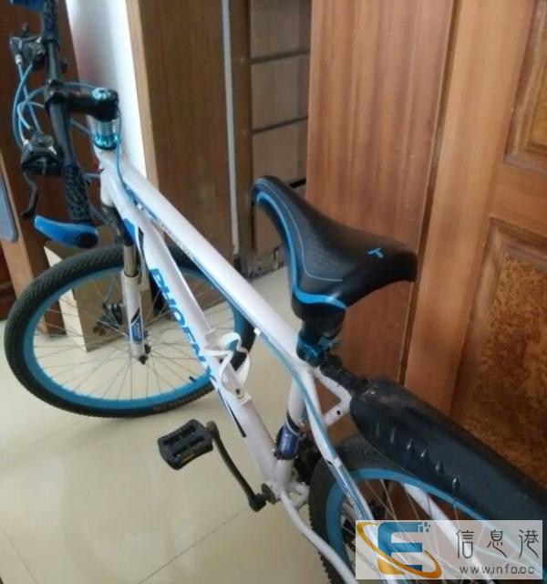 凤凰山地自行车