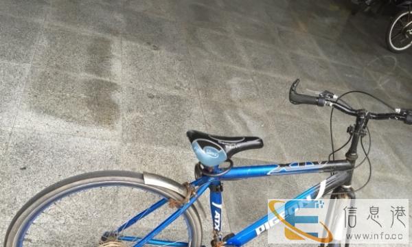 湖北工程学院低价处理飞鸽自行车