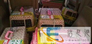 吉祥 长沙到三门峡宠物托运需要多少钱/安全吗 几个小时能 吉祥 长沙到三门峡宠物托运需要多少钱/安全吗 几个小时能