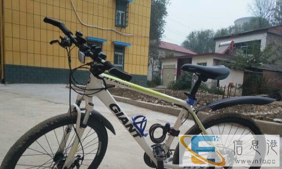 自家爱车转让 捷安特、美利达