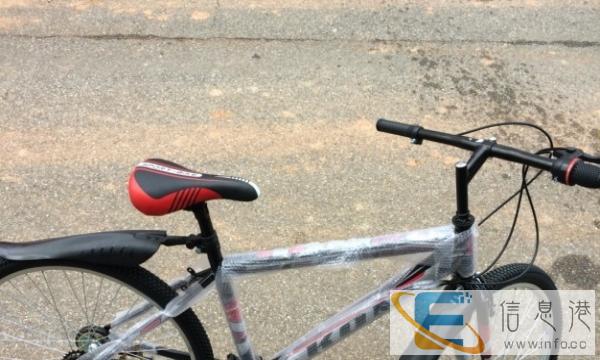 闲置自用新自行车