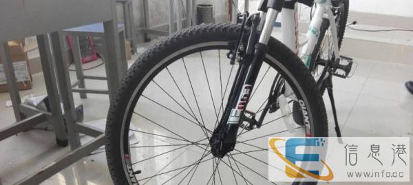 95新捷安特660速拆