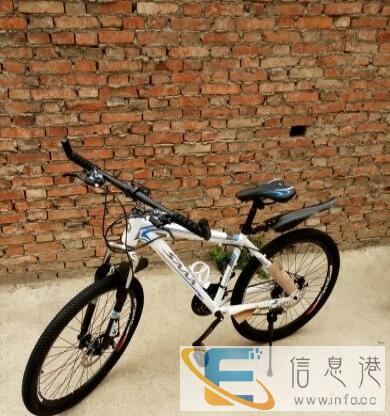 飞鸽,,凤凰任你选