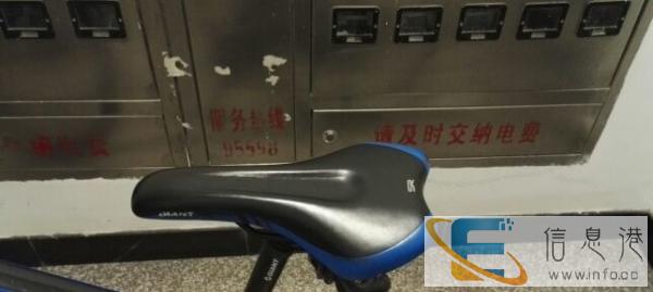 捷安特自行车850