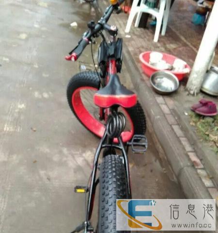 含泪甩卖大轮自行车