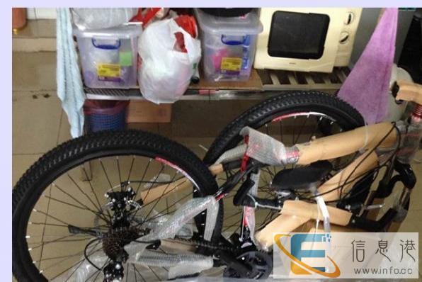 15年入手的捷安特山地车弊院