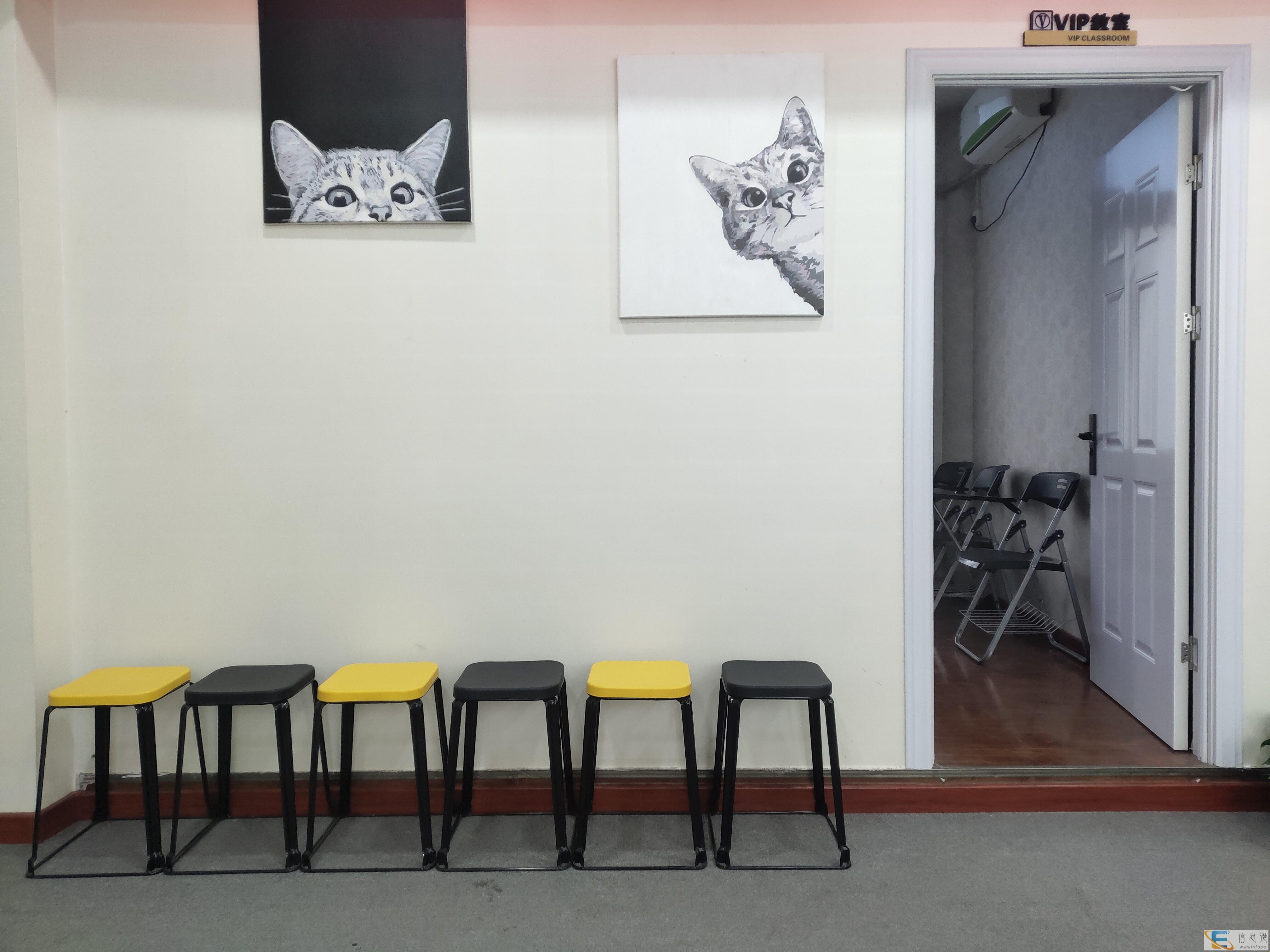 来羿翔学编导,你给我信任,我给你成绩