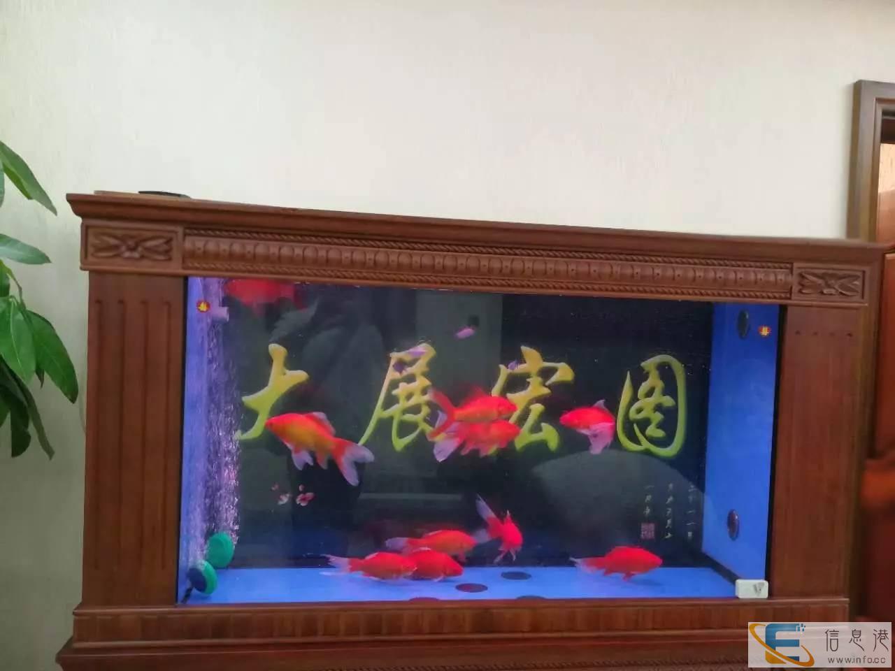 太原清洗鱼缸清洗维修搬运