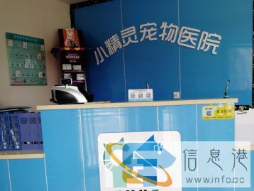 太原好的宠物医院 拥有二十多年历史的小精灵宠物医