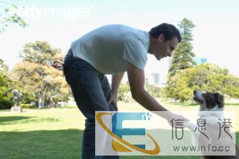 太原训犬学校，专治狗狗各种坏毛病，不打骂，效果好