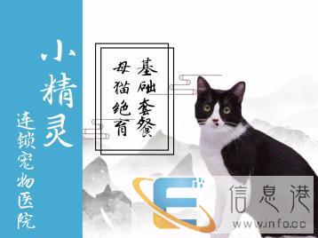 小精灵宠物医院