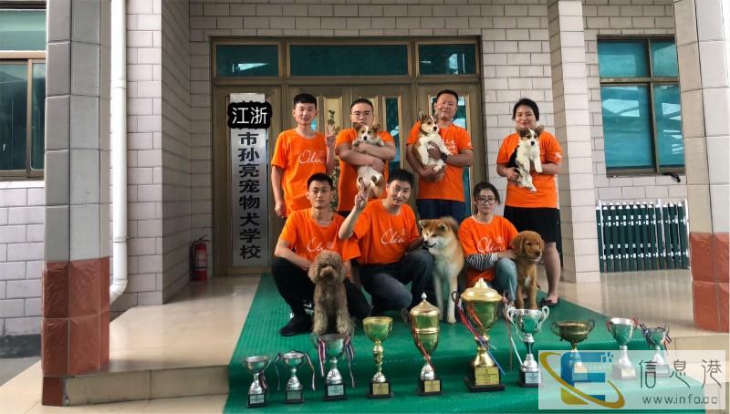 泰州训犬师学校学习在哪里宠物老师培训基地在哪