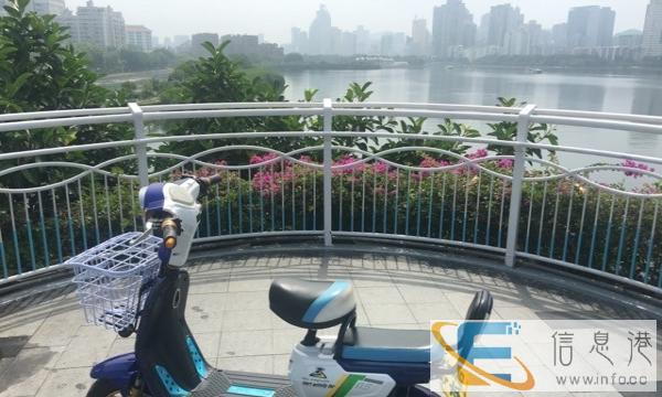 9.9踏板车72V大电池20安只买了两个月都没在骑便宜卖