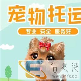 宠物托运，全国皆可服务