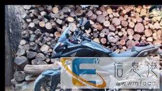 低价转让2014全新本田700全地形双缸摩托车