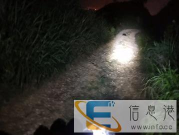 出车出车车贩子不出
