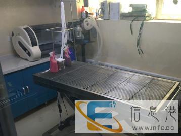 宠乐嘉动物医院各项体检套餐全面呵护您的爱宠