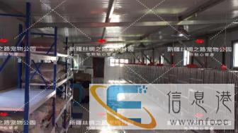 乌鲁木齐丝绸之路宠物服务中心-寄养区