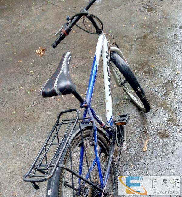 白菜价了 二手自行车转让,价格实惠