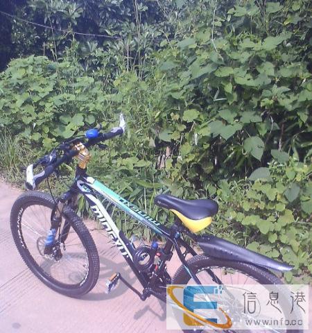 自己改装山地车