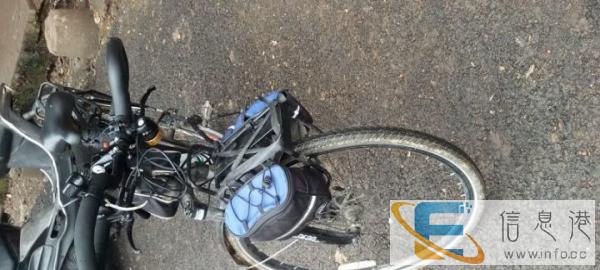 贱卖喜德盛旅行车1台