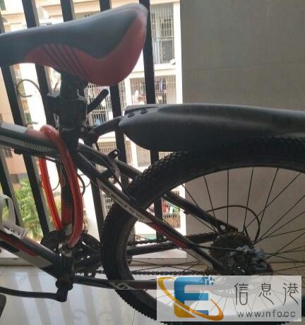 自行车单车脚踏车