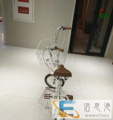 赛克宠物自行车