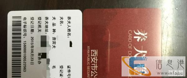 代办西安市各区狗证