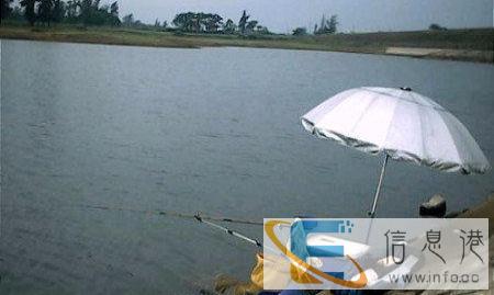 泸州烤鱼烧烤部落 野炊烧烤出售、烧烤炉出租工具出售